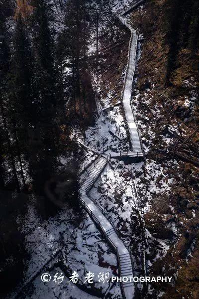 小猫钓鱼游戏龙王版有船